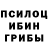 Псилоцибиновые грибы Psilocybe wrongnumber