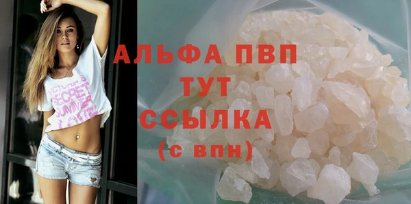 PSILOCYBIN Магас