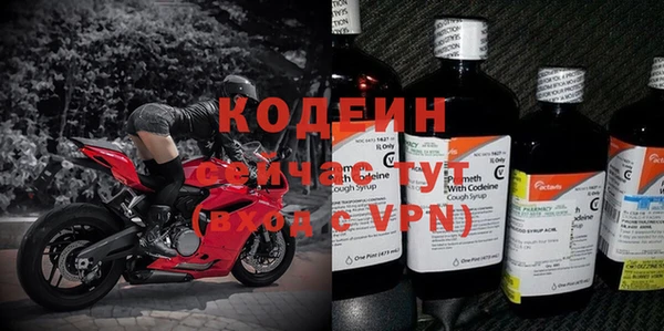прущие грибы Кукмор