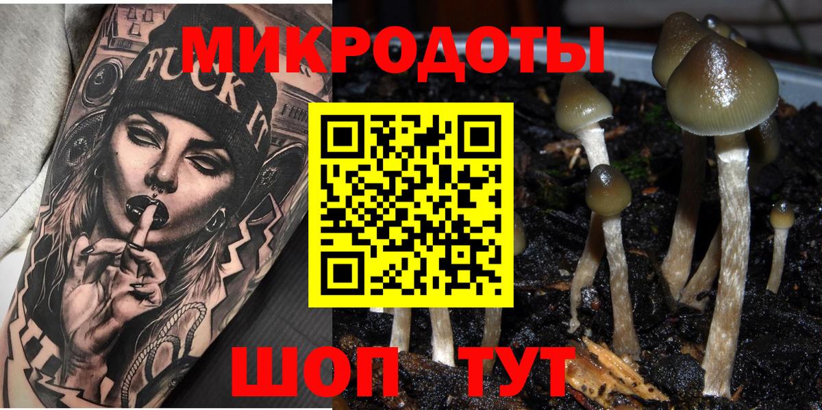 сколько стоит  Михайловка  Галлюциногенные грибы мухоморы 