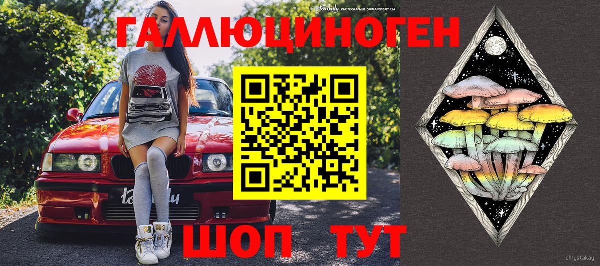 Галлюциногенные грибы Psilocybine cubensis Михайловка