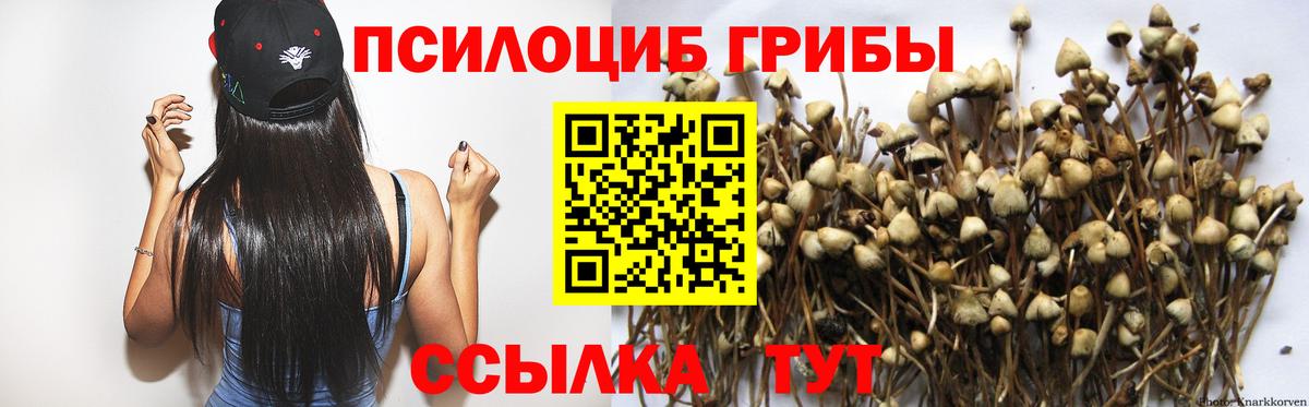дарнет шоп  Галлюциногенные грибы MAGIC MUSHROOMS  Вход с VPN  Псилоцибиновые грибы Psilocybine cubensis  Михайловка 