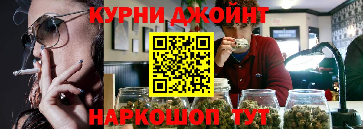 МАРИХУАНА конопля  Михайловка  Канабис индика 